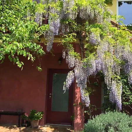 Apartma Daire Dobrovo