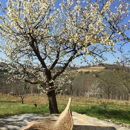 Appartamento Apartma Dobrovo